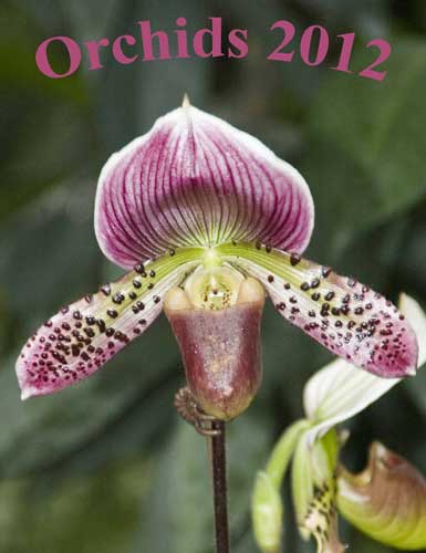 orchids 2012 calendar-AsiaPhotoStock