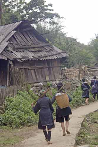 hmong village-AsiaPhotoStock