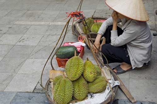 durians-AsiaPhotoStock