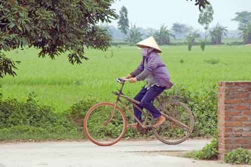 ridng by rice fields-AsiaPhotoStock