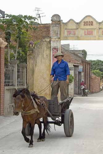 horse and cart-AsiaPhotoStock