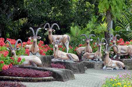 antelopes sculptures-AsiaPhotoStock