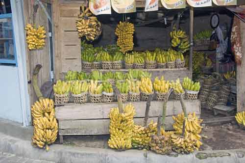 banana stall-AsiaPhotoStock