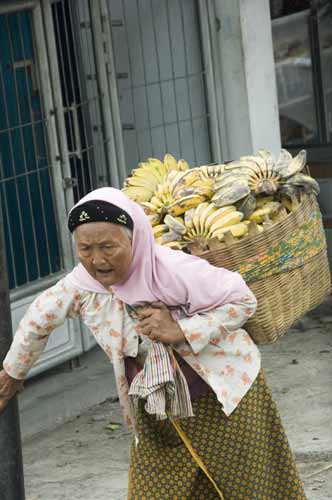 bananas in basket-AsiaPhotoStock