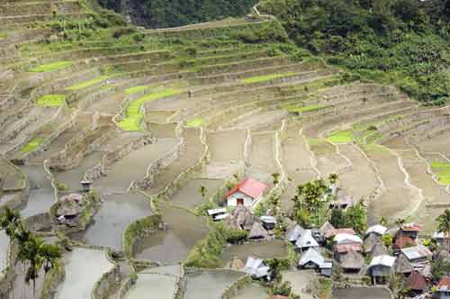 batad village and rice-AsiaPhotoStock