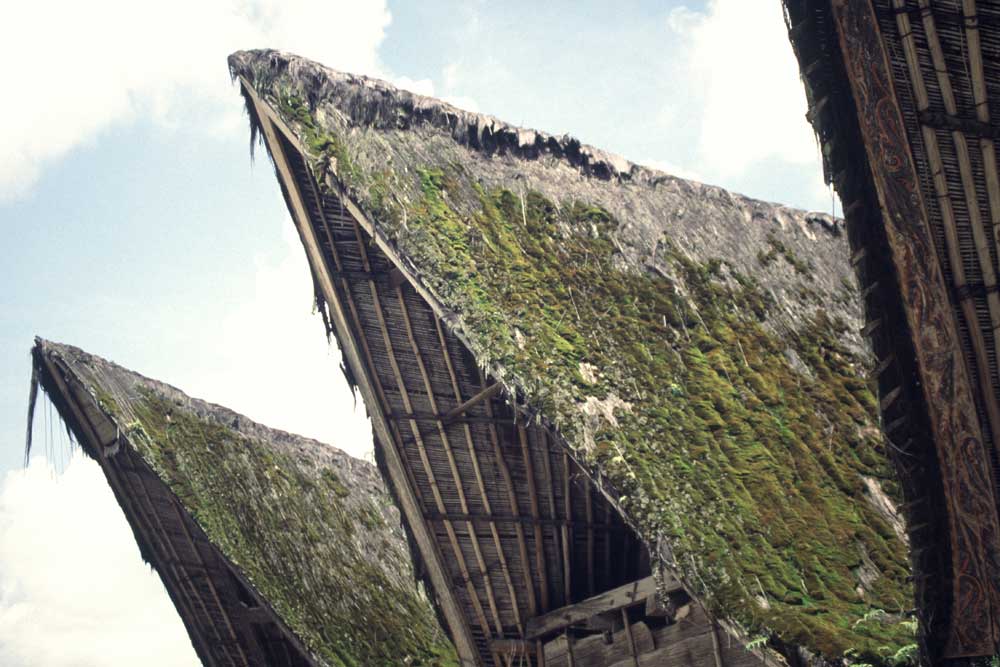 batak roof-AsiaPhotoStock