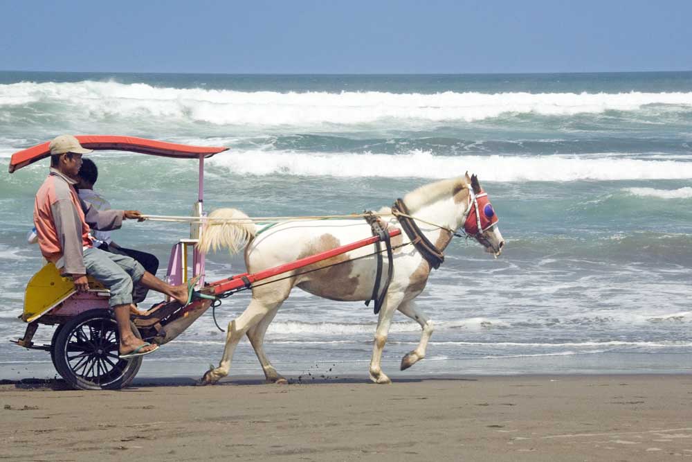 beach carriage-AsiaPhotoStock