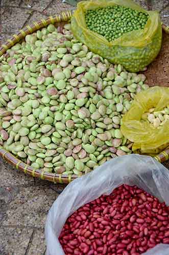beans at dalat market-AsiaPhotoStock