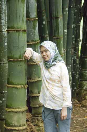 big bamboo-AsiaPhotoStock