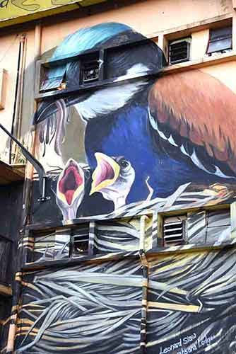 bird mural-AsiaPhotoStock