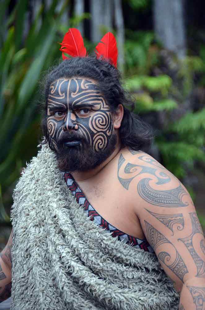 maori chief tamaki-AsiaPhotoStock