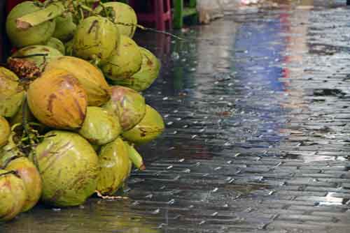 coconut rain-AsiaPhotoStock