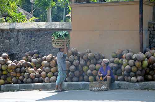 coconut wall-AsiaPhotoStock