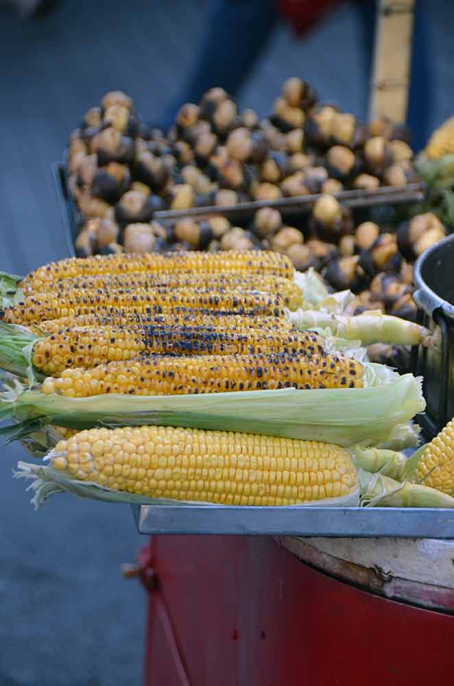 corn-AsiaPhotoStock