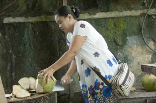 cutting coconut-AsiaPhotoStock