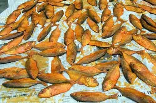 dried fish on paper-AsiaPhotoStock