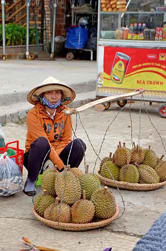 durian-AsiaPhotoStock