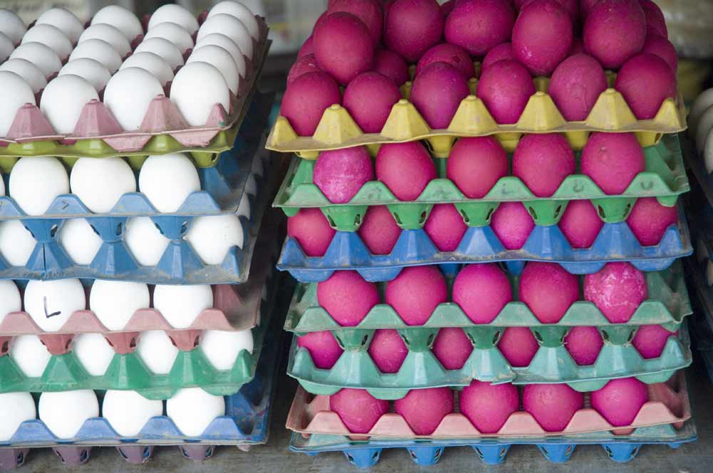 colored eggs-AsiaPhotoStock