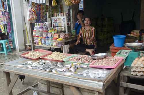fish batam market-AsiaPhotoStock