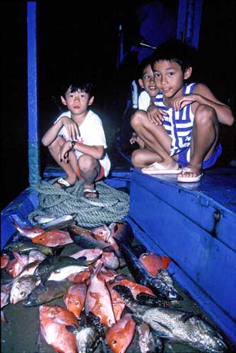 fish_ catch-AsiaPhotoStock
