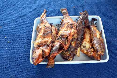 fish lunch-AsiaPhotoStock
