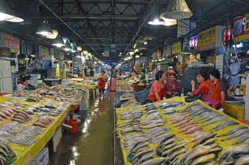 fish market-AsiaPhotoStock