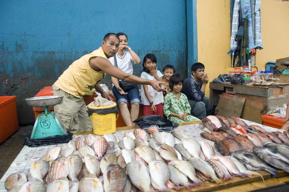 fish family at market-AsiaPhotoStock