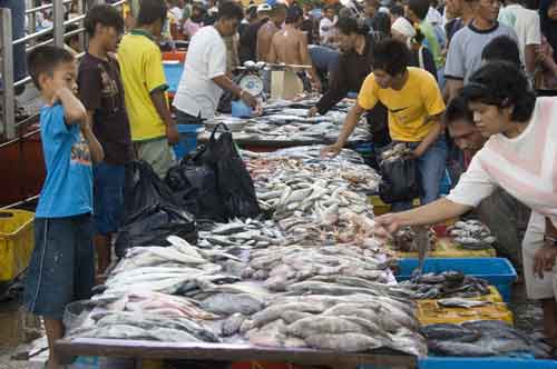 fish market stalls-AsiaPhotoStock