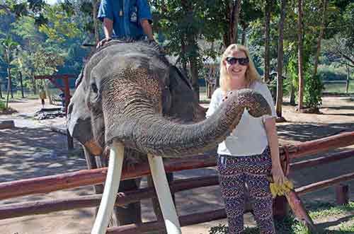 friendly elephant and lady-AsiaPhotoStock
