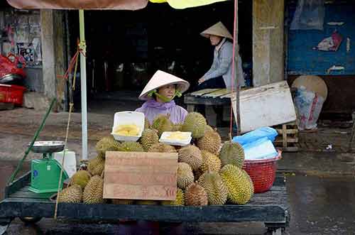 fruit durian-AsiaPhotoStock