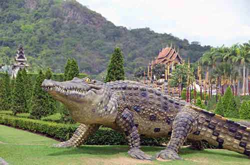 giant crocodile-AsiaPhotoStock