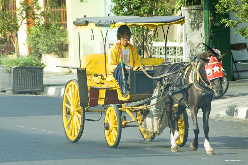 horse and cart-AsiaPhotoStock