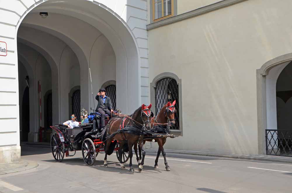 horse and carriage-AsiaPhotoStock