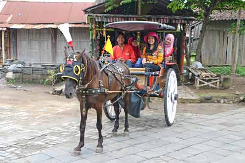 horse carriage-AsiaPhotoStock