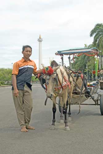 horse ride jakarta-AsiaPhotoStock