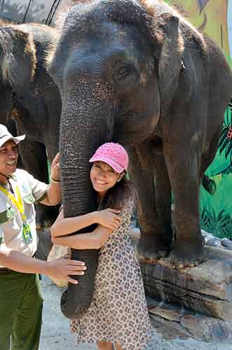 hug elephant-AsiaPhotoStock