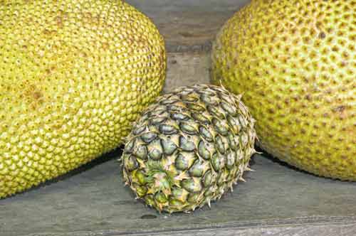 jackfruit and pineapple-AsiaPhotoStock