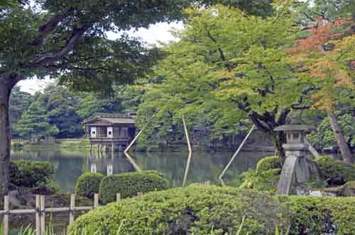 japanese garden-AsiaPhotoStock