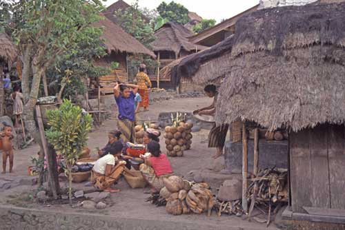 lombok villagers-AsiaPhotoStock