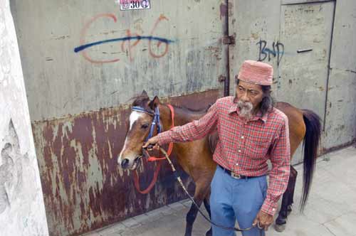 man and horse-AsiaPhotoStock