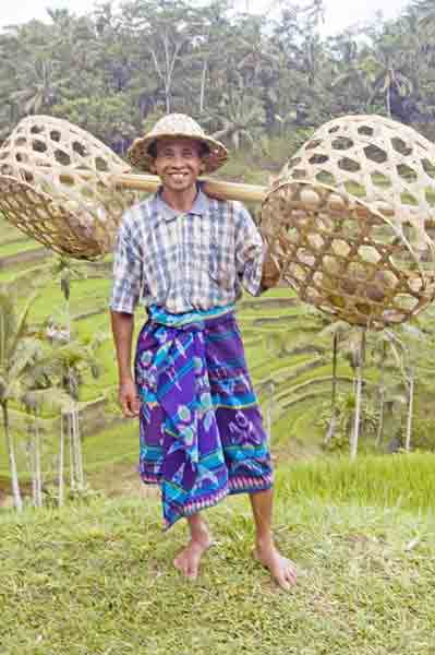 man in rice fields-AsiaPhotoStock