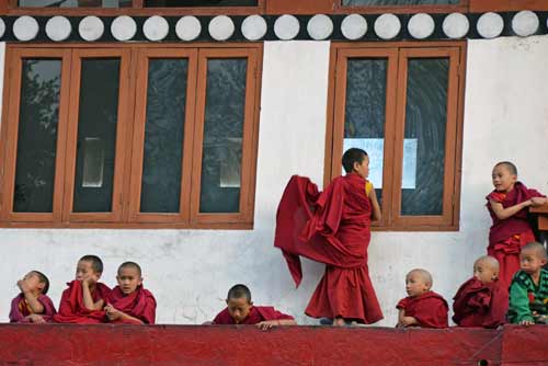 novice monks-AsiaPhotoStock