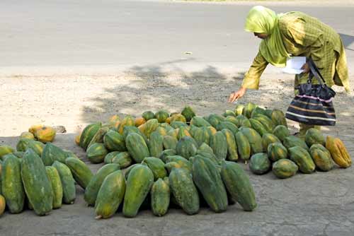 papaya stall borobudur-AsiaPhotoStock