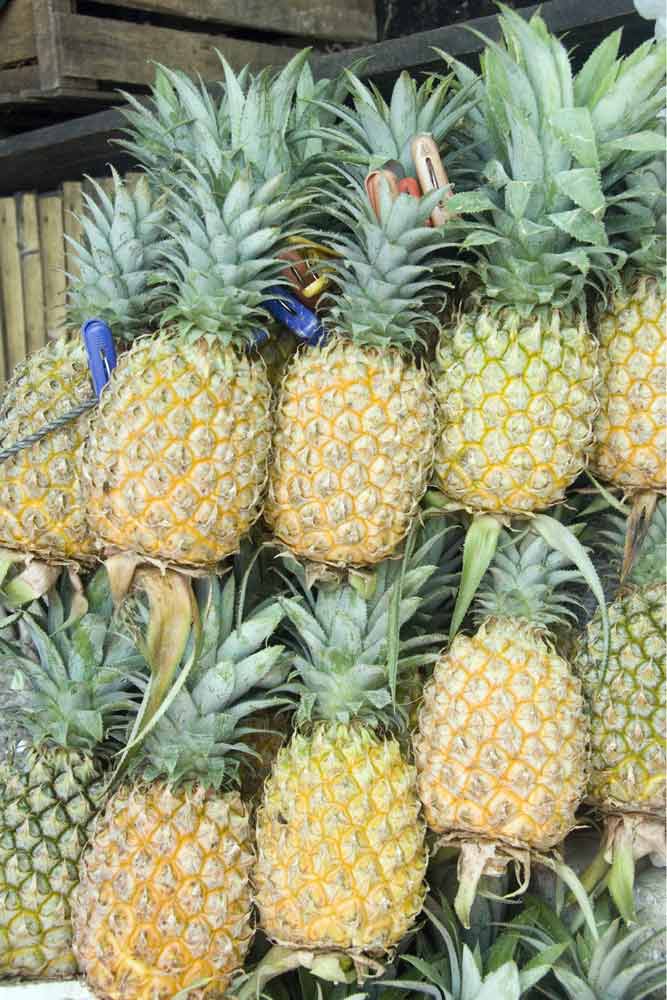 pineapples-AsiaPhotoStock