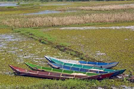 boats in reeds-AsiaPhotoStock