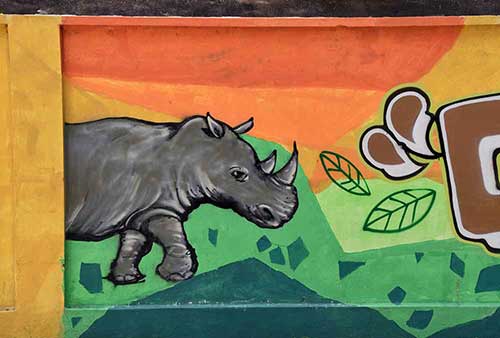 adult rhino mural-AsiaPhotoStock