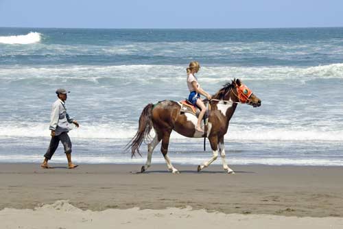 horse riding parangtritis-AsiaPhotoStock