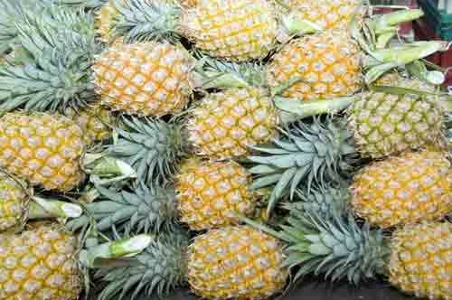 ripe phuket pineapples-AsiaPhotoStock
