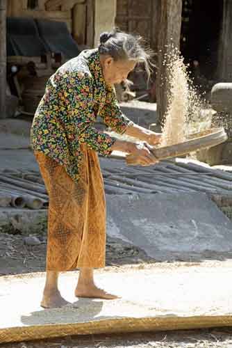 lady sieves rice-AsiaPhotoStock