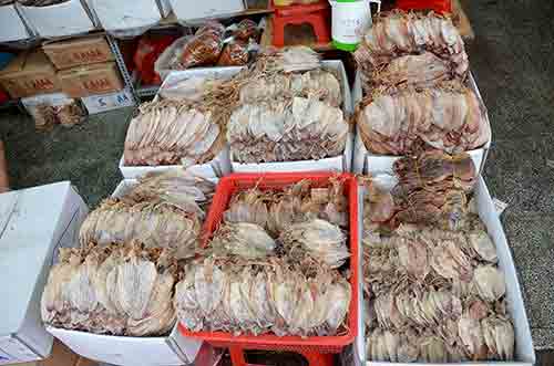 squid dried-AsiaPhotoStock